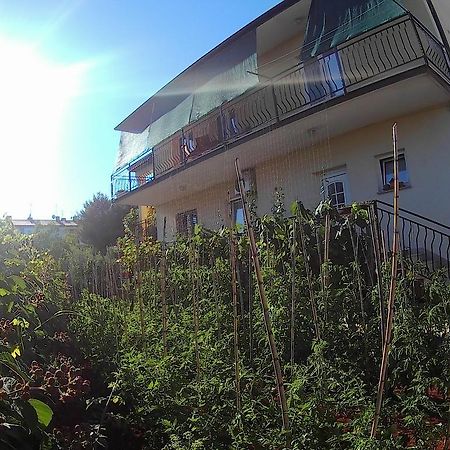 Lea Apartment Umag Kültér fotó
